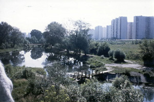 Borison Pond
