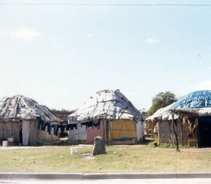 Native Village2