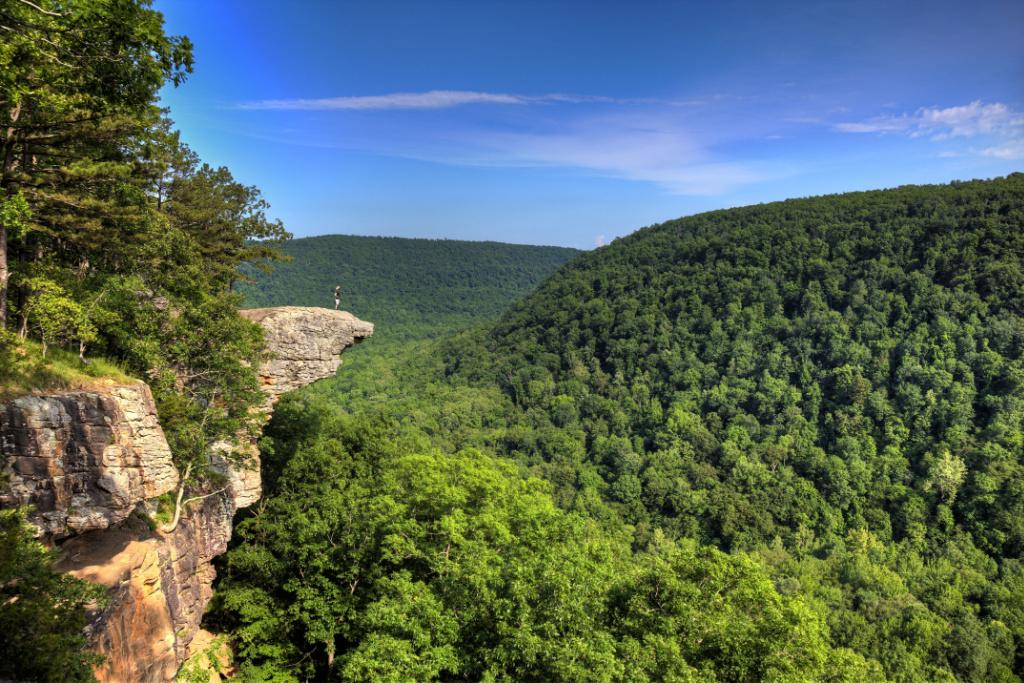 Scenic Arkansas hiking trail through forest