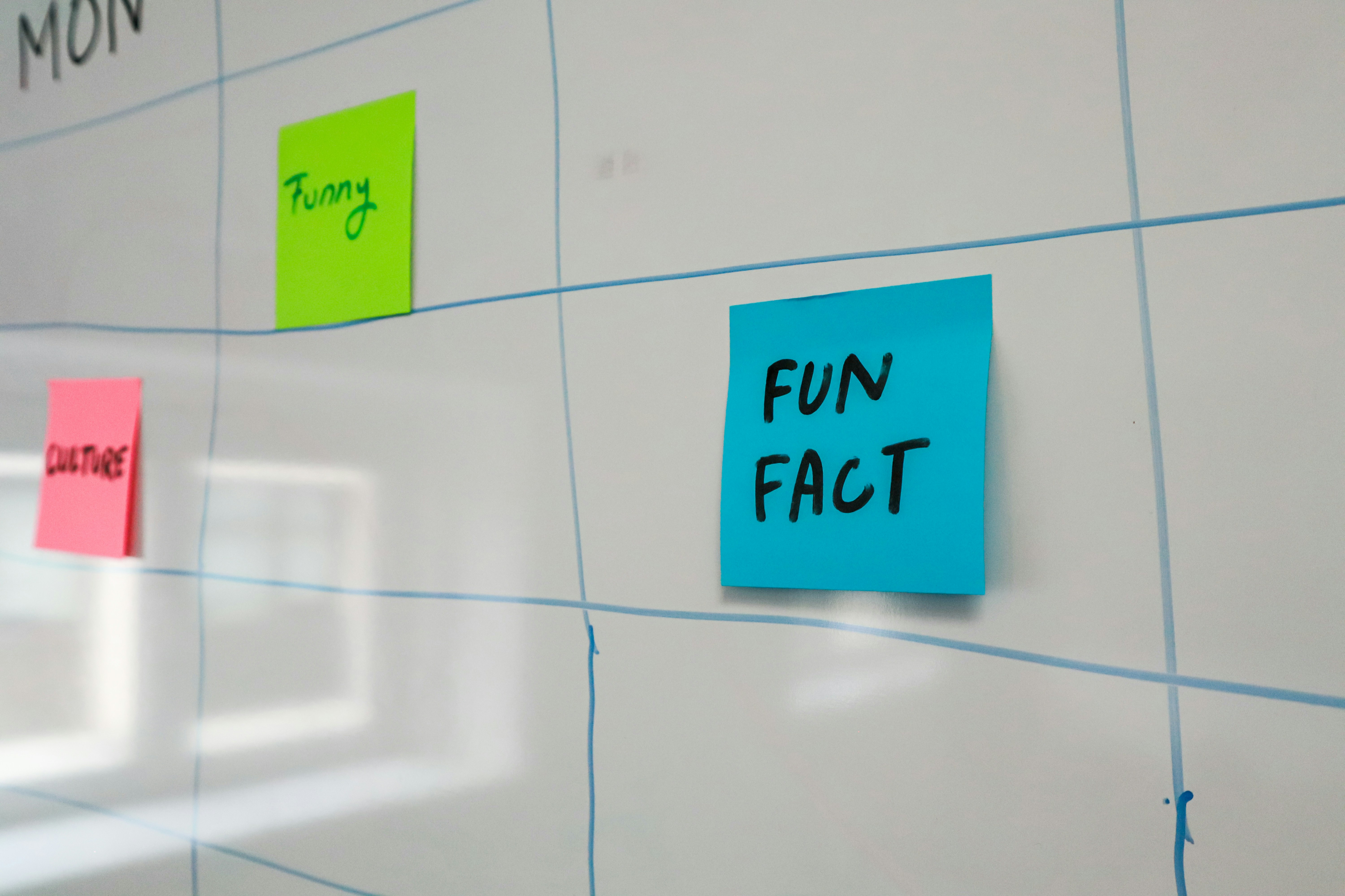 Blue sticky note reading FUN FACT on a whiteboard calendar