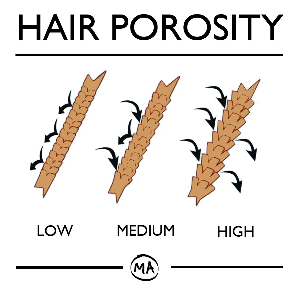 Understanding Hair Porosity